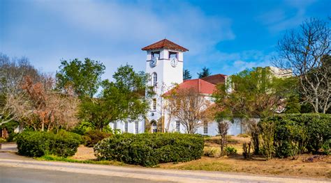 alice hare|fort hare alice campus.